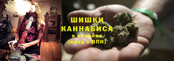 ПСИЛОЦИБИНОВЫЕ ГРИБЫ Алексин