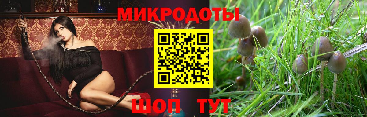Псилоцибиновые грибы MAGIC MUSHROOMS  Вход с VPN  Биробиджан 